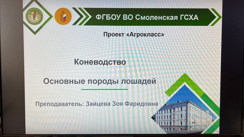 Новая отрасль - коневодство.